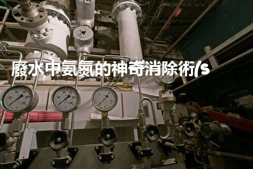 廢水中氨氮的神奇消除術(shù)！